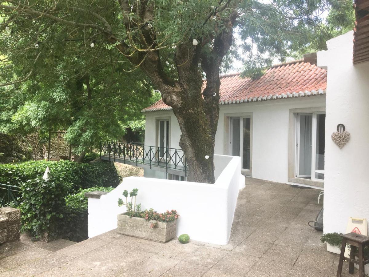 Sintra Center Guest House Escape To Nature Eksteriør billede