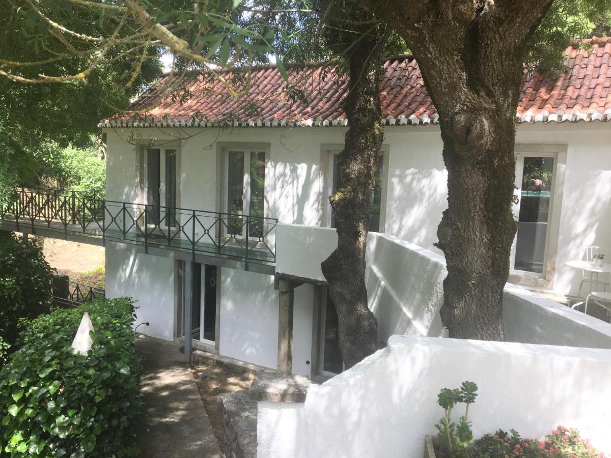 Sintra Center Guest House Escape To Nature Eksteriør billede